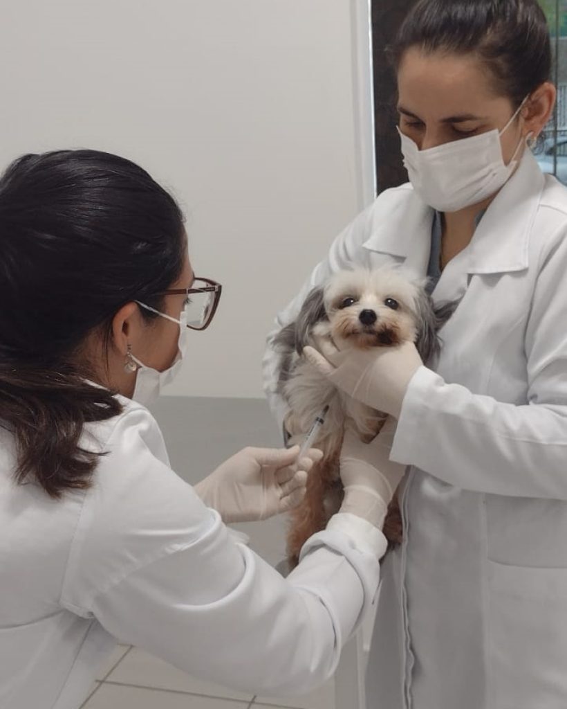 WhatsApp Image 2023-01-31 at 14.41.15 (1)